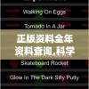 管家婆一码一肖100准，带你揭秘如何提高率，让你轻松中大奖！