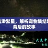 (奋战海战如何带多条船回国)奋战海战，如何有效带领多条船只