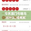 (明日特攻队最佳组合是谁)明日特攻队最佳组合策略，打造无敌战队