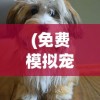(大征服者罗马修改版贴吧)大征服者罗马满级修改版，深度解析与探索