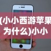 (小小西游苹果为什么)小小西游PL，游戏特色与玩法解析