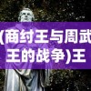 (商纣王与周武王的战争)王的战争，战略、英雄与历史的交织