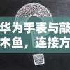 华为手表与敲木鱼，连接方法与常见问题解答