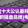 (十大公认最好的键盘品牌)电脑外设品牌排行榜，深度解析与对比分析