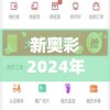 新奥彩2024年免费资料查询,绝对经典解释落实_Console.6.991