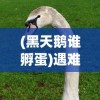 (梦回大航海离线破解版)梦回大航海无网络单机版，航海梦的新篇章