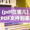 (pdf在哪儿)PDF文件到哪去了？探寻数字世界的未知角落