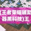 (王者荣耀辅助器黑科技)王者荣耀辅助器，游戏优化的秘密武器