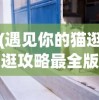 (遇见你的猫逛逛攻略最全版)遇见你的猫逛逛攻略大全，最全面的游戏指南