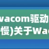 (wacom驱动下载慢)关于Wacom驱动加载缓慢的探讨