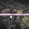 (传世高爆手游)传世高爆版下载：体验全新冒险之旅，畅享传奇传奇乐趣！