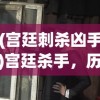 (宫廷刺杀凶手)宫廷杀手，历史阴影下的隐秘职业