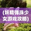 (妖精弹珠少女游戏攻略)妖精弹珠少女游戏，梦幻般的冒险之旅