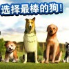 小狗爱旅游官方版2024新版下载-小狗爱旅游官方版下载手机版v.8.37