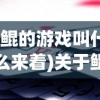 (鲲的游戏叫什么来着)关于鲲的游戏名称及其相关内容探讨