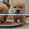(修真聊天群百度百科宋书航)修真聊天群，探寻古老修真的现代交流空间