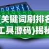 (关键词刷排名工具源码)揭秘关键字刷排名软件，背后的真相与挑战