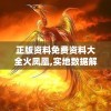正版资料免费资料大全火凤凰,实地数据解释落实_yShop.1.381