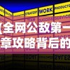 (全网公敌第一章攻略背后的真相)全网公敌第一章攻略详解及常见问题解答