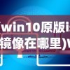 (win10原版iso镜像在哪里)Win10原版ISO镜像，获取、应用与常见问题解答