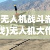 (无人机战斗游戏)无人机大作战，游戏的魅力与挑战