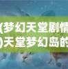 (梦幻天堂剧情)天堂梦幻岛的归途，如何返回之旅