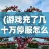 (游戏充了几十万停服怎么办)英雄传奇是否还能开服，深度分析与展望