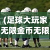 (足球大玩家无限金币无限钻石)足球大玩家，无限金币的魅力与挑战