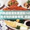 奥门内部最精准免费资料7456,探索世界各地的美食奇观_机动集.1.189