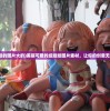 (长生祭攻略全部图解大侠网)长生祭攻略全图解，一步步走向胜利之路