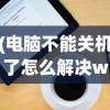 (电脑不能关机了怎么解决win10系统)电脑不能关机问题解决方案，针对Windows 10系统的实用指南