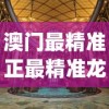 澳门最精准正最精准龙门,探索城市新风尚与秘密角落_完整版.8.743