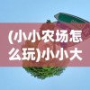 (小小农场怎么玩)小小大农场，全面攻略与常见问题解答