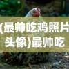 (最帅吃鸡照片头像)最帅吃鸡照片，游戏瞬间的艺术捕捉