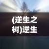 (九天战神诀免费阅读无弹窗全文)九天战神诀免费阅读无弹窗，深入解析与探讨