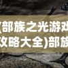(部族之光游戏攻略大全)部族之光游戏，探索部落文明的奇幻之旅