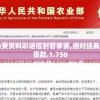 2024新澳免费资料彩迷信封管家婆,绝对经典解释落实_尊贵款.1.750