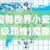 (魔兽世界小宠物升级路线)魔兽世界小宠物升级，全面解析与常见问题解答