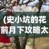 (勇闯女儿国礼包码)勇闯女儿国阵容，探寻梦幻团队的神秘魅力
