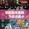 掌握最佳策略：为你详解小小村长中平民角色的最强阵容推荐及其背后的秘密