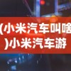 (小米汽车叫啥)小米汽车游戏，探索未来的驾驶乐趣之命名之谜