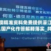(黎明风暴礼包大全)黎明风暴0.1折抢购热潮背后的秘密与探索