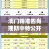 澳门精准四肖期期中特公开7456,探讨2024年的新方法与趋势_探险版THE.4.297