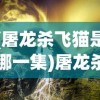 (屠龙杀飞猫是哪一集)屠龙杀飞猫，神秘故事背后的多维解读