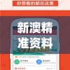 (赏金勇者传世手游下载官网)赏金勇者传世，深入解析这款独具魅力的游戏