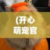 (逍遥情缘长生劫攻略视频)逍遥情缘长生劫全攻略，游戏指南与常见问题解答