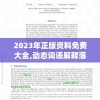 2023年正版资料免费大全,动态词语解释落实_嵌入款.0.126