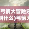 (崩坏世界的歌姬)崩坏世界，游戏深度分析与常见问答解析