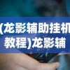 (龙影辅助挂机教程)龙影辅助官网，游戏玩家的最佳助手