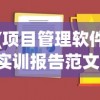 (项目管理软件实训报告范文)项目管理软件实训报告总结与分析